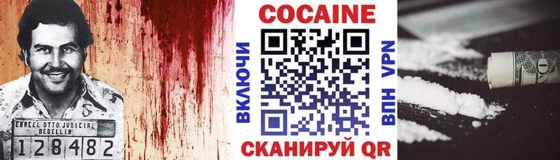 купить закладку  Десногорск  Cocaine Эквадор 