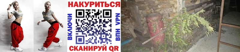 дарнет шоп Десногорск Бошки Шишки индика